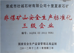 矿山安全标准化三级企业